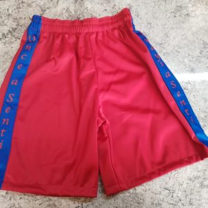 Boys Summer Shorts